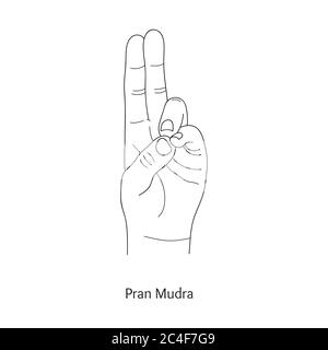 Pran Mudra / geste de la vie. Vecteur. Illustration de Vecteur