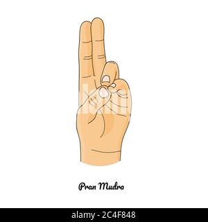 Pran Mudra / geste de la vie. Vecteur. Illustration de Vecteur