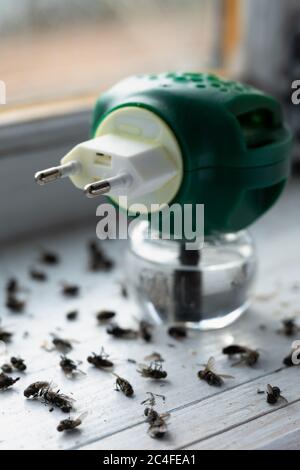 Un fumeteur d'insecticide liquide se trouvant sur le rebord de la fenêtre parmi une grande quantité de mouches mortes qui se trouvent dans le rebord Banque D'Images