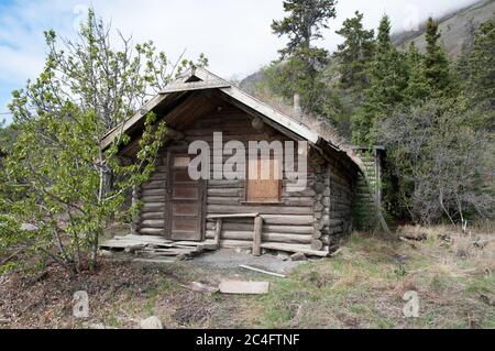 Une cabane en rondins de prospecteur sauvage historique de la ruée vers l'or du Klondike dans le parc national Kluane, territoire du Yukon, Canada. Banque D'Images