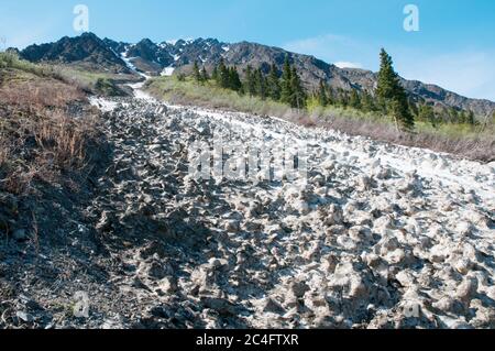 Fonte de neige dans une chute d'avalanche sur un flanc de montagne dans le parc national Kluane, territoire du Yukon, Canada. Banque D'Images