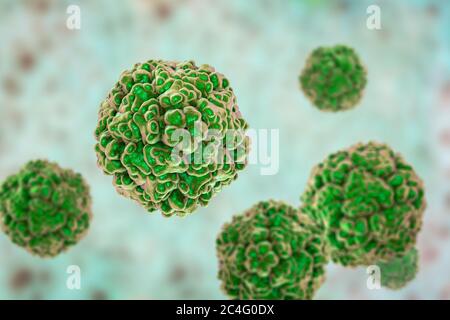 Entérovirus, illustration informatique. L'entérovirus est un genre de virus ARN à sens positif de la famille des Picornaviridae. Ils étaient à l'origine classifi Banque D'Images