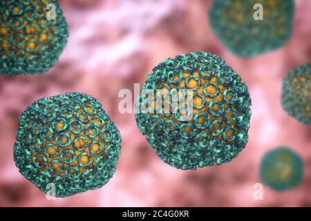 Les particules de virus de la fièvre de la vallée du Rift, illustration de l'ordinateur. Cette particule virale se compose d'un ARN (acide ribonucléique) Génome enfermé dans une capside protéique, qui est lui-même entouré d'une glycoprotéine enveloppe. La Vallée du Rift se produit en Afrique, peuvent infecter les humains, bovins, ovins, rongeurs et d'autres espèces. Elle est transmise par les insectes, surtout les moustiques, et provoque des frissons, fièvre, maux de tête et douleurs articulaires et musculaires. Il est rarement mortel, mais peut causer des hémorragies qui peuvent conduire à la déficience visuelle. Banque D'Images