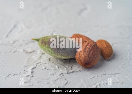 noix d'amandes vertes et anciennes riped au printemps, isolées sur fond blanc texturé. Copier l'espace. Régime équilibré vegan concept de mode de vie sain. Créatif Banque D'Images