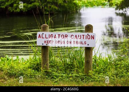 Signe d'avertissement concernant les alligators avertissant les visiteurs de la sécurité des animaux Banque D'Images