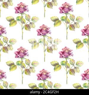 Motif sans couture. Fleurs de rose foncé, feuilles vertes. Affiche florale, invitation. Compositions aquarelles pour cartes de vœux ou motifs d'invitation. Illustration de Vecteur