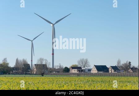 Sint Gillis Waas, Belgique, 22 mars 2020, éoliennes en bordure d'une zone résidentielle Banque D'Images