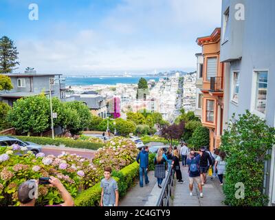 Lombard Street, célèbre rue est–ouest à San Francisco, Californie Banque D'Images