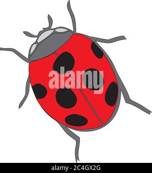 Ladybird sur fond blanc. Icône coccinelle mignon. Illustration de Vecteur