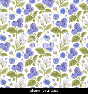Motif aquarelle sans couture avec fleurs, bleuets et feuilles sur fond clair. Illustration de l'aquarelle des baies brillantes. Banque D'Images