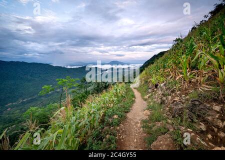 Sentier de montagne dans le district de MOC Chau, province de son la, Vietnam Banque D'Images