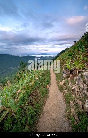 Sentier de montagne dans le district de MOC Chau, province de son la, Vietnam Banque D'Images