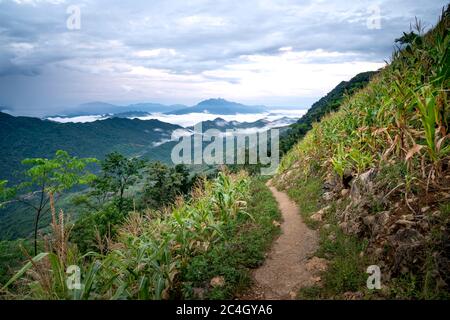 Sentier de montagne dans le district de MOC Chau, province de son la, Vietnam Banque D'Images