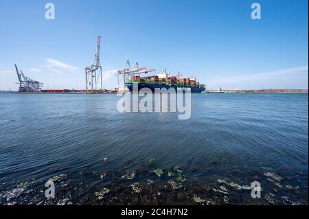 HMM Oslo s'est amarré à Southampton, Hampshire, Angleterre, Royaume-Uni vu de Marchwood. Banque D'Images