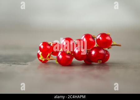 Les raisins de Corinthe rouges sont éparpillés sur un fond de texture grise. Photo de haute qualité Banque D'Images