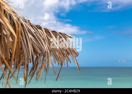 Partie d'un parasol sur une plage d'Antiguan avec une mer turquoise derrière Banque D'Images