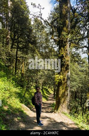 Un sentier forestier, col de Jalori, vallée de Tirthan, Himachal Pradesh, Inde Banque D'Images