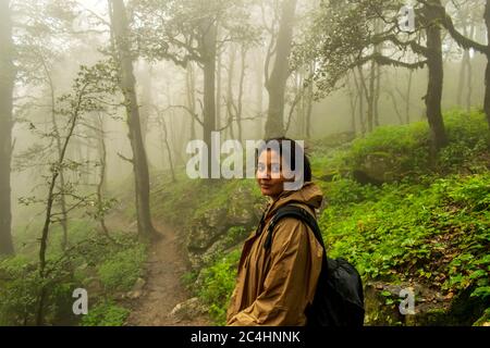 Un sentier forestier, col de Jalori, vallée de Tirthan, Himachal Pradesh, Inde Banque D'Images