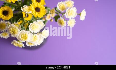Bouquet de fleurs de printemps jaune et blanc délicates sur fond violet. Vue de dessus. Copier l'espace. Inspiration. Fleuriste Banque D'Images