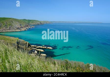 Les falaises, en regardant vers le nord sur la péninsule Lizard de Cornwall, au Royaume-Uni Banque D'Images