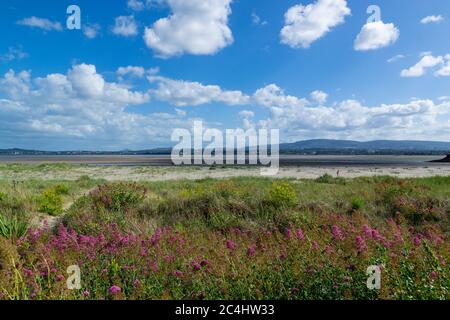 Vue depuis la plage de Poolberg à marée basse, Dublin, Irlande. Banque D'Images