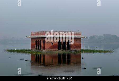 Un troupeau d'oiseaux assis sur un pavillon devant le Jal Mahal, Jaipur, Rajasthan, Inde Banque D'Images