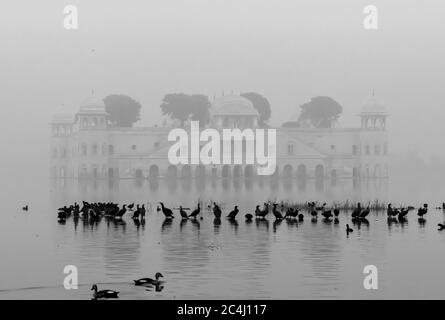 La vue de Jal Mahal avec des oiseaux nageant à l'avant, Jaipur, Rajasthan, Inde Banque D'Images