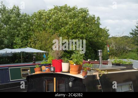 Pots de plantes fleuris colorés vus sur un bateau privé sur un canal sur une célèbre voie navigable anglaise. Banque D'Images