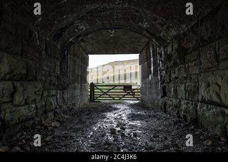 Tunnel de travail en pierre sombre et humide sous la célèbre ligne de chemin de fer Leeds-Carlisle. Montrant une porte de ferme éloignée et les Dales au-delà. Banque D'Images