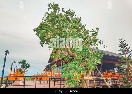 KANCHANABURI THAÏLANDE - JUIN 26 : une vue magnifique sur le café et la cuisine nouvellement créée au café et restaurant Ananda le 26,2020 juin à Thamuang d Banque D'Images