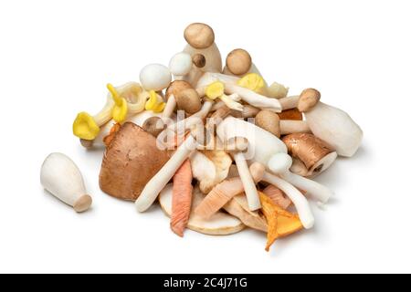 Mélange de champignons frais de variation crus isolés sur fond blanc Banque D'Images