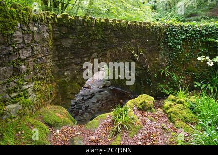 Pont Packhorse à côté de la rivière Barle à Marsh Bridge, juste au nord de Dulverton, dans Somerset, Royaume-Uni. Partie du parc national exe Valley Way & Exmoor. Banque D'Images