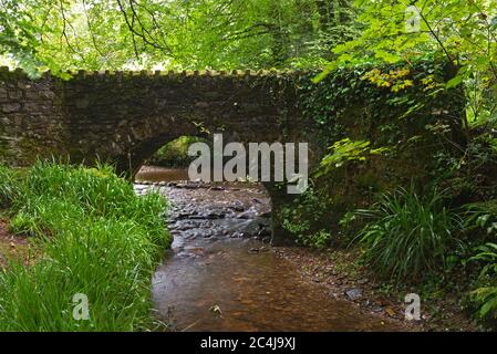 Pont Packhorse à côté de la rivière Barle à Marsh Bridge, juste au nord de Dulverton, dans Somerset, Royaume-Uni. Partie du parc national exe Valley Way & Exmoor. Banque D'Images