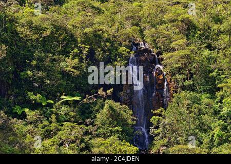 Scenic Alexandra falls dans la jungle de l'Ile Maurice Banque D'Images