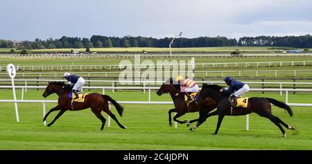 Buckhurst, monté par Wayne Lordan (à gauche), remporte les prétendues participations en douane de Dubaï à l'hippodrome de Curragh. Banque D'Images