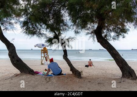 Arbres croqués au bord de la mer à istanbul. Des arbres croqués sur la plage. Les gens de la plage en été. Banque D'Images