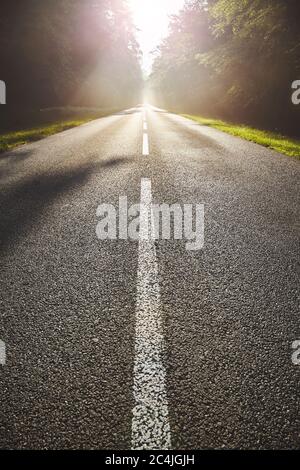 Route asphaltée humide dans la forêt contre le soleil avec effet de lentille évasée. Banque D'Images