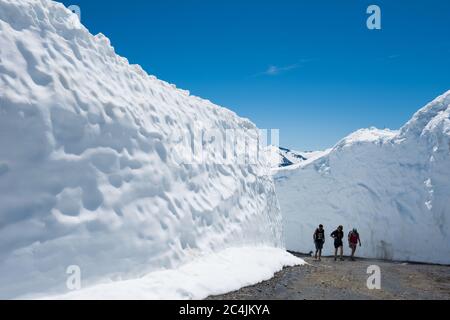 Whistler, C.-B., Canada : murs de neige massifs sur le mont Whistler – photo de la réserve Banque D'Images