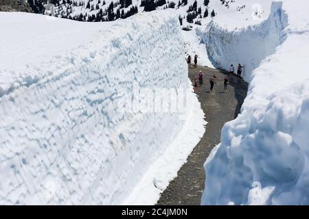 Whistler, C.-B., Canada : murs de neige massifs sur le mont Whistler – photo de la réserve Banque D'Images