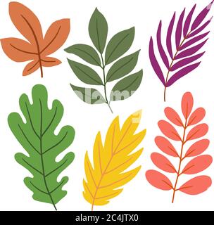Ensemble de feuilles colorées sur fond blanc dans les graphiques vectoriels. Pour la conception de cartes postales, d'illustrations botaniques, de tirages sur couvertures, textiles, t Illustration de Vecteur