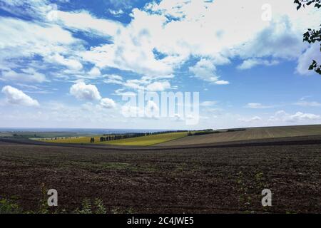 Magnifique paysage d'été et ciel nuageux. Les terres arables sont situées en premier plan. Fiel de tournesol et de lombardie poplars sont situés dans a b Banque D'Images