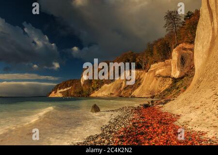 Falaises de craie le matin sur l'île de Ruegen. Côte en automne au lever du soleil. Arbres et littoral pierreux avec feuillage et nuages i Banque D'Images