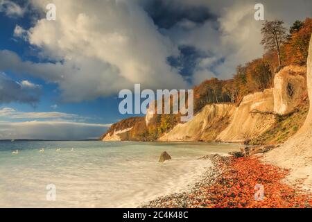 Mer Baltique avec côte sur l'île de Ruegen. Soleil sur la côte en automne avec nuages et ciel bleu le matin. Baie des pirates sur la falaise de craie Banque D'Images