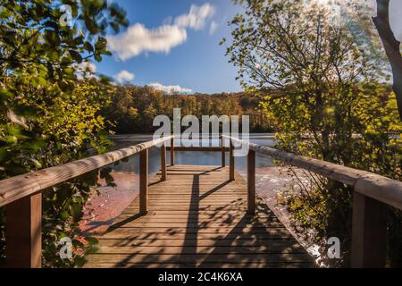 Petit lac avec une vue idyllique depuis une jetée en bois au soleil. Forêt avec arbres à feuilles caduques en automne. Ciel bleu avec nuages dans Jasmund National P. Banque D'Images