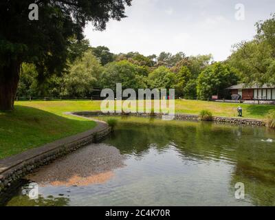 Les gens pêchant dans un étang de truite Banque D'Images