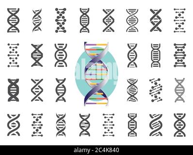 Ensemble d'icônes d'ADN. Variation génétique humaine. Illustration vectorielle. Illustration de Vecteur