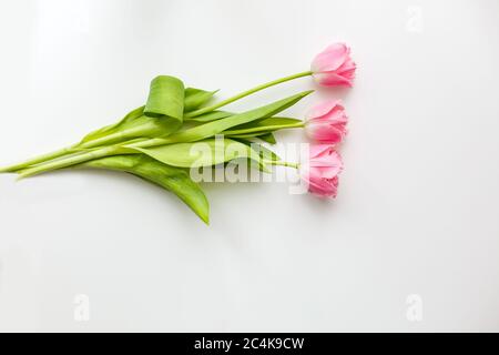 Trois tulipes roses sur fond blanc Banque D'Images