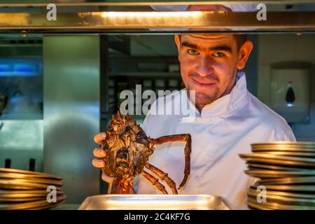 Un cuisinier montre le crabe araignée pour le dîner dans le Hôtel Tresanton Banque D'Images