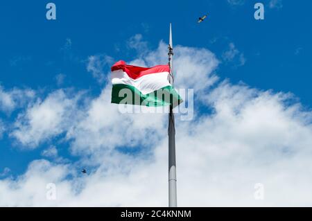 Drapeau national hongrois avec fond bleu ciel et nuages. Le vent vole le drapeau. Oiseaux sur l'image. Banque D'Images