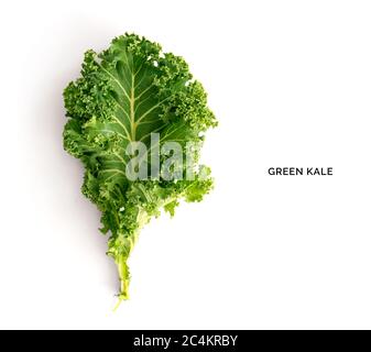 Mise en page créative faite de kale. Mise à plat. Concept alimentaire. Banque D'Images